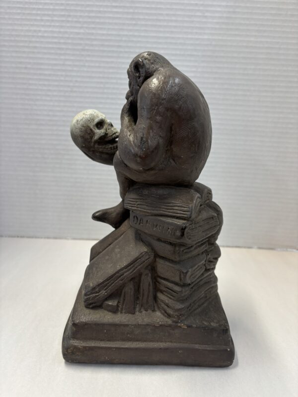 Darwin Monkey Holding Skull - Image 3