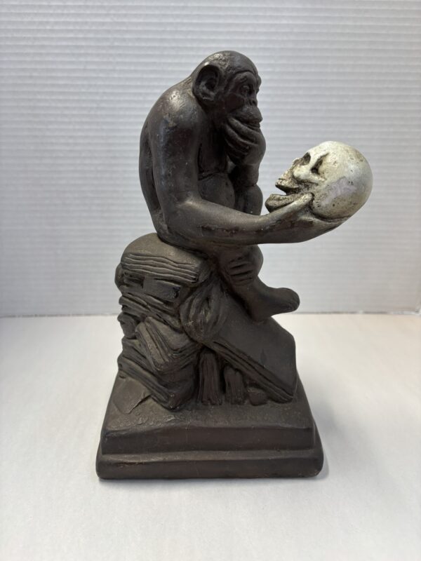 Darwin Monkey Holding Skull - Image 6