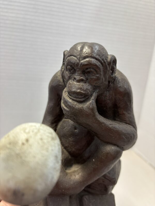 Darwin Monkey Holding Skull - Image 8