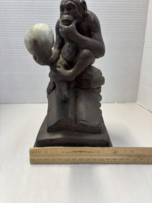 Darwin Monkey Holding Skull - Image 9