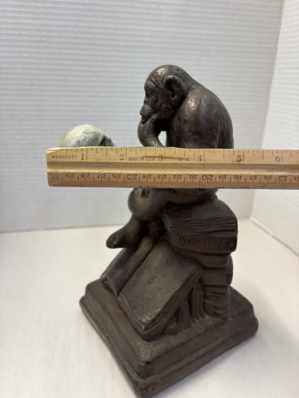 Darwin Monkey Holding Skull - Image 11